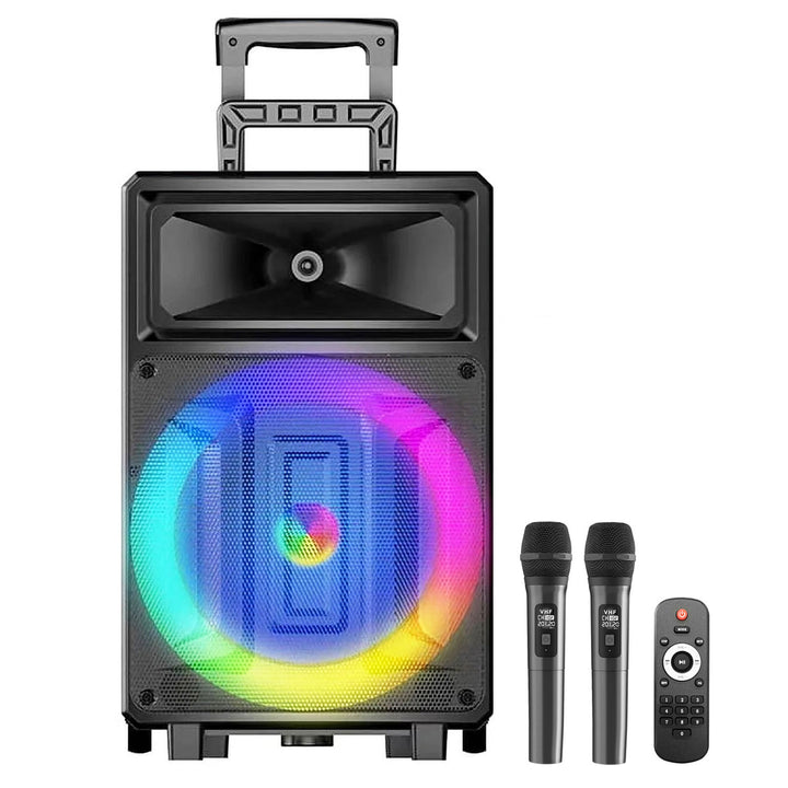 SEENDA BSE-10 | Karaoke Machine with 2 Wireless Microphones