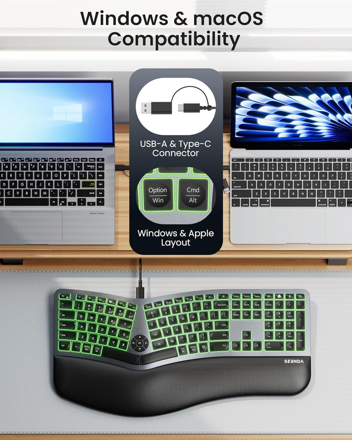 Windows & macosCompatibility